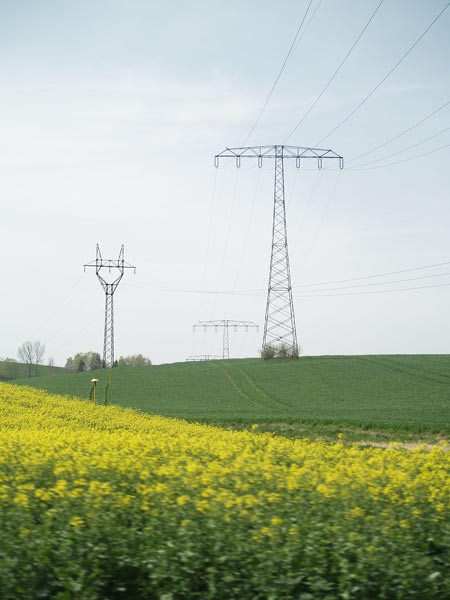 P4214564_bearbeitet-1