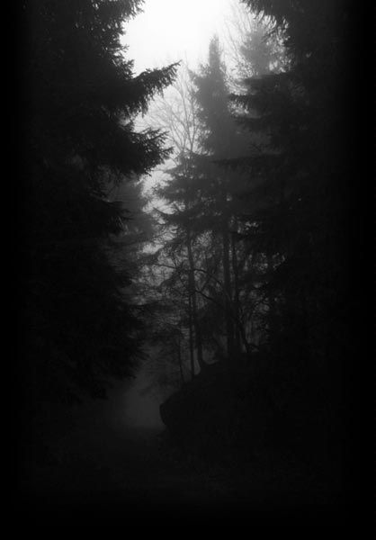 darkforest